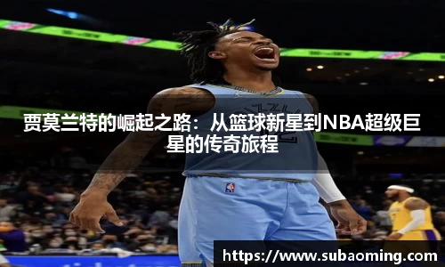 博鱼.体育官网