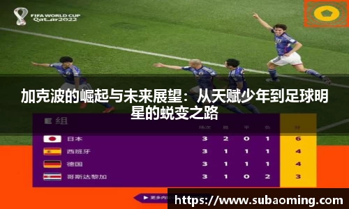 博鱼中国官方入口