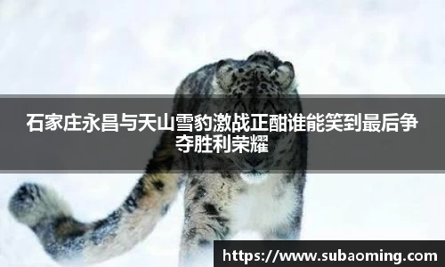 博鱼.体育官网